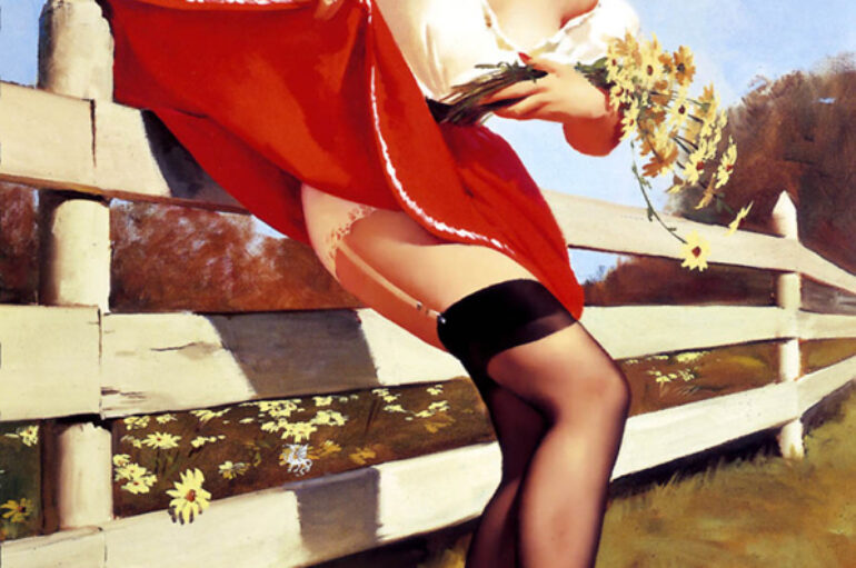 Пояс для чулок