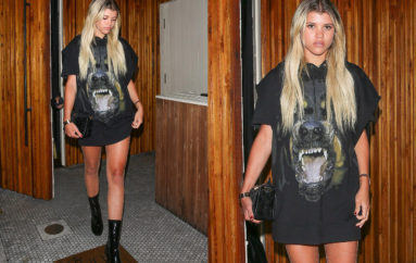 Sofia Richie в рваных чулках