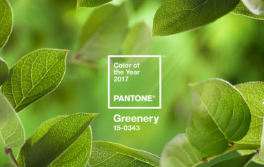Главный цвет 2017 года: Greenery