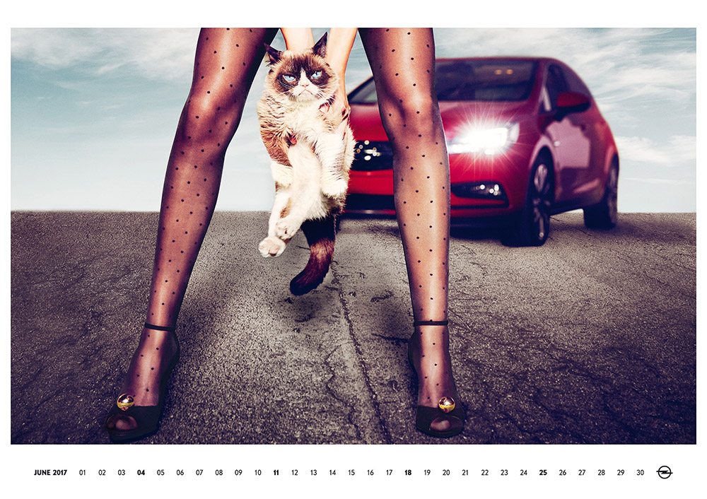 Сердитый Котик и колготки в горошек в Opel Calendar 2017