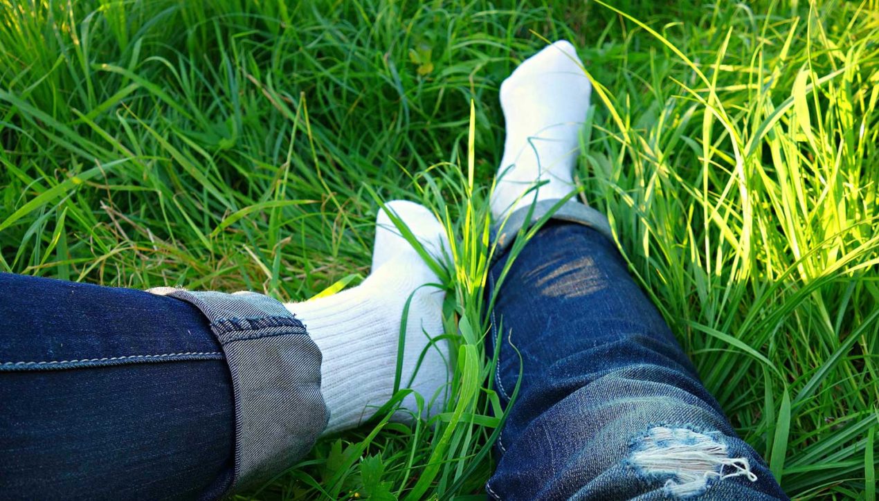 Словацкие ученые разрабатывают антиклещевые носки