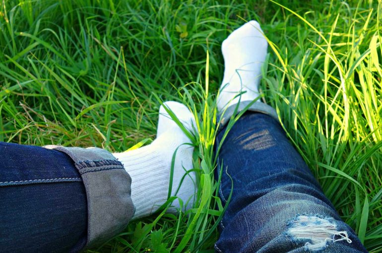 Словацкие ученые разрабатывают антиклещевые носки