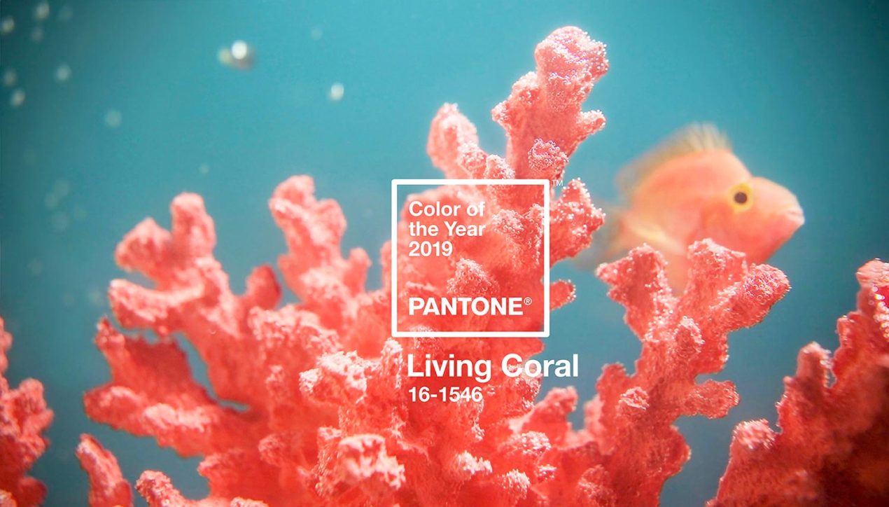 Pantone Announces the Color of the Year 2019: PANTONE® 16-1546 Living Coral