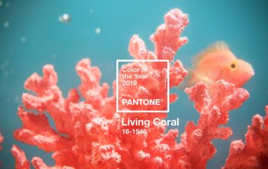 Pantone Announces the Color of the Year 2019: PANTONE® 16-1546 Living Coral