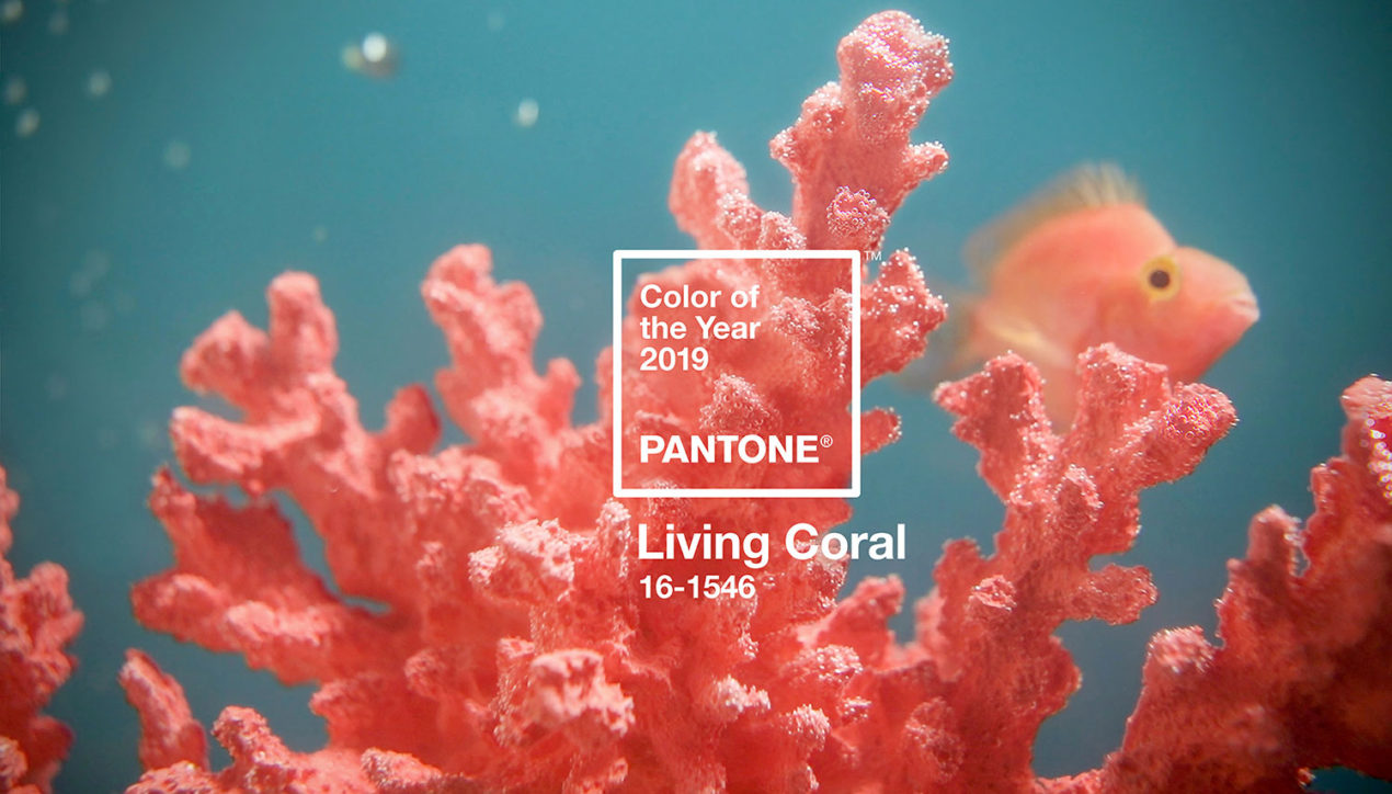 Институт Pantone представил цвет года 2019 — Living Coral (Живой Коралл)