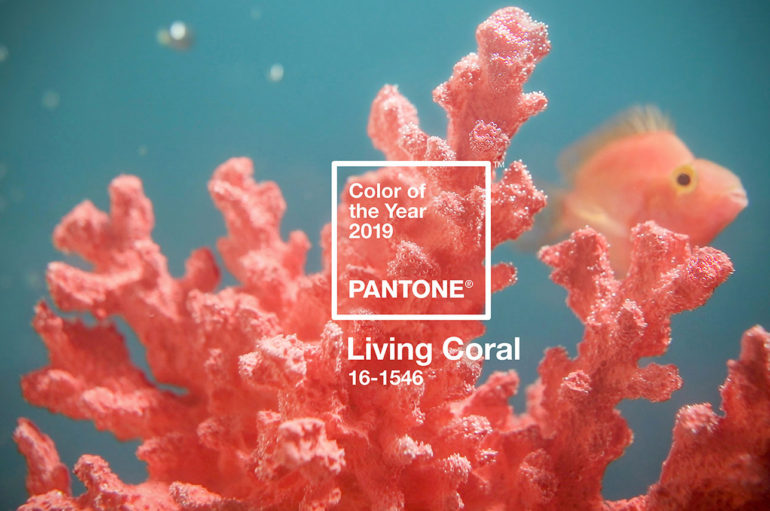 Институт Pantone представил цвет года 2019 — Living Coral (Живой Коралл)