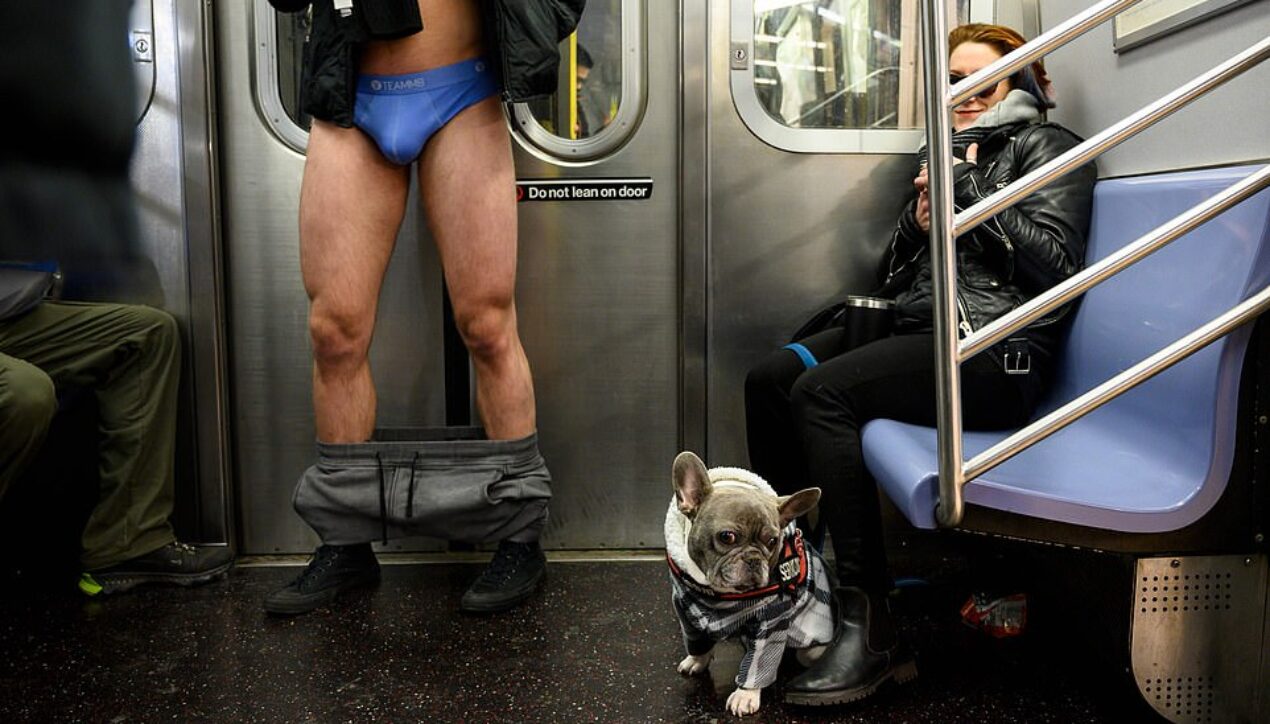 Тысячи людей по всему миру приняли участие в 19-м ежегодном мероприятии No Pants — проехались в метро без брюк