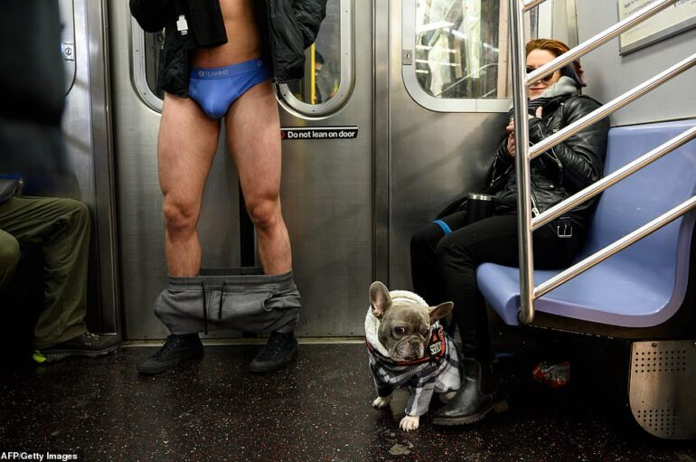 Тысячи людей по всему миру приняли участие в 19-м ежегодном мероприятии No Pants — проехались в метро без брюк