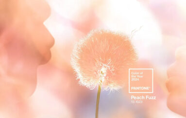 Персиковый пух: Цвет года 2024 по версии Pantone